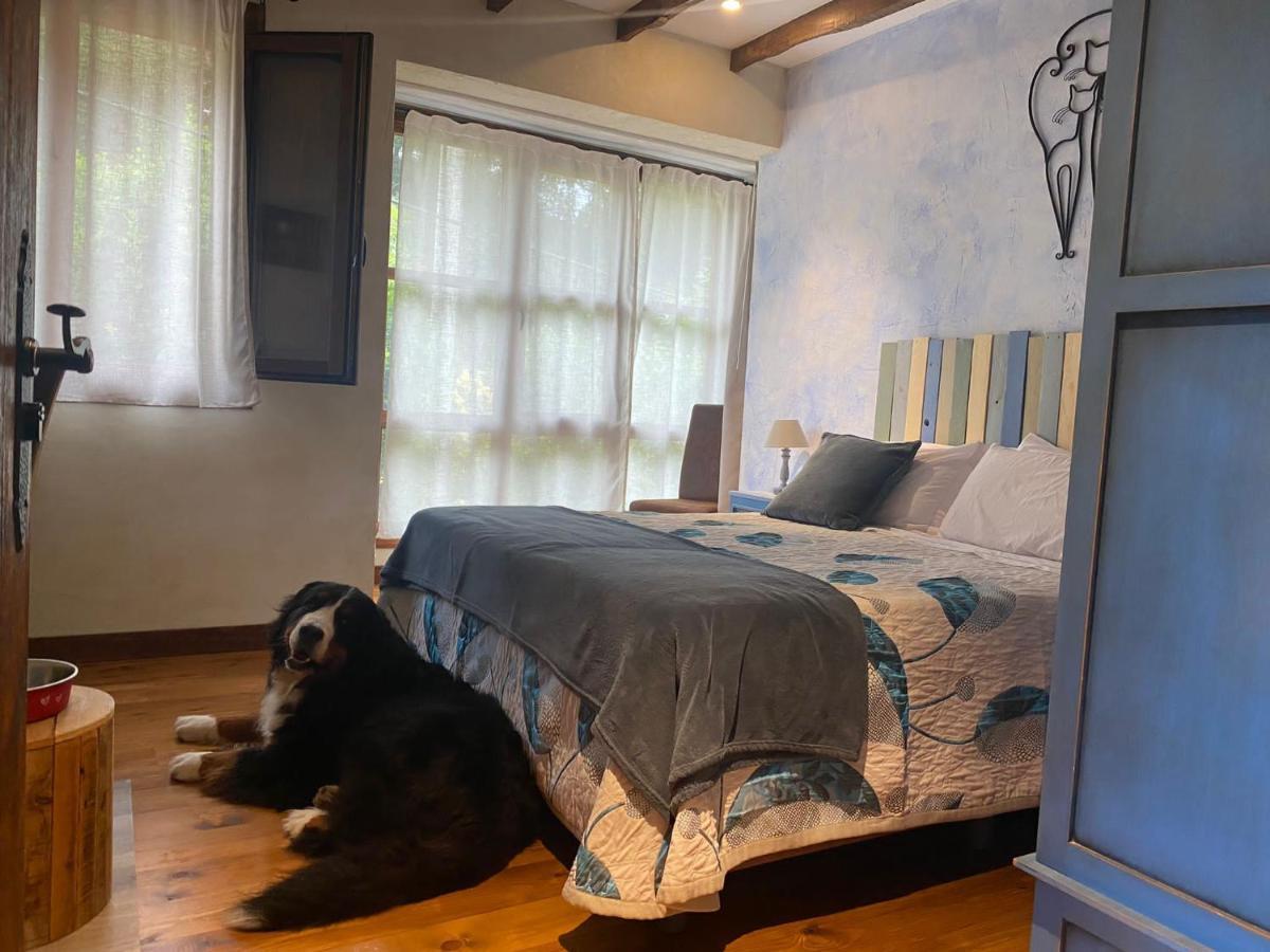 Posada Pet Friendly El Molino De Cantabria Entrambasaguas  Extérieur photo