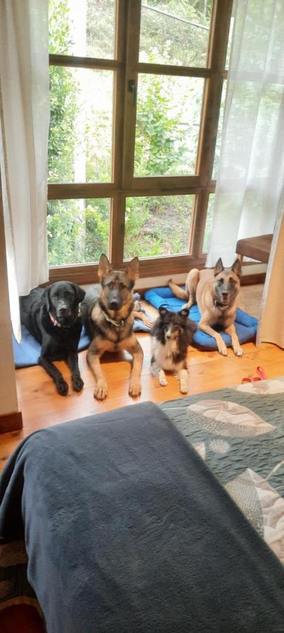 Posada Pet Friendly El Molino De Cantabria Entrambasaguas  Extérieur photo