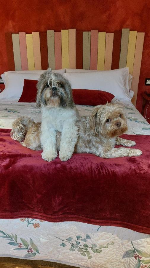 Posada Pet Friendly El Molino De Cantabria Entrambasaguas  Extérieur photo