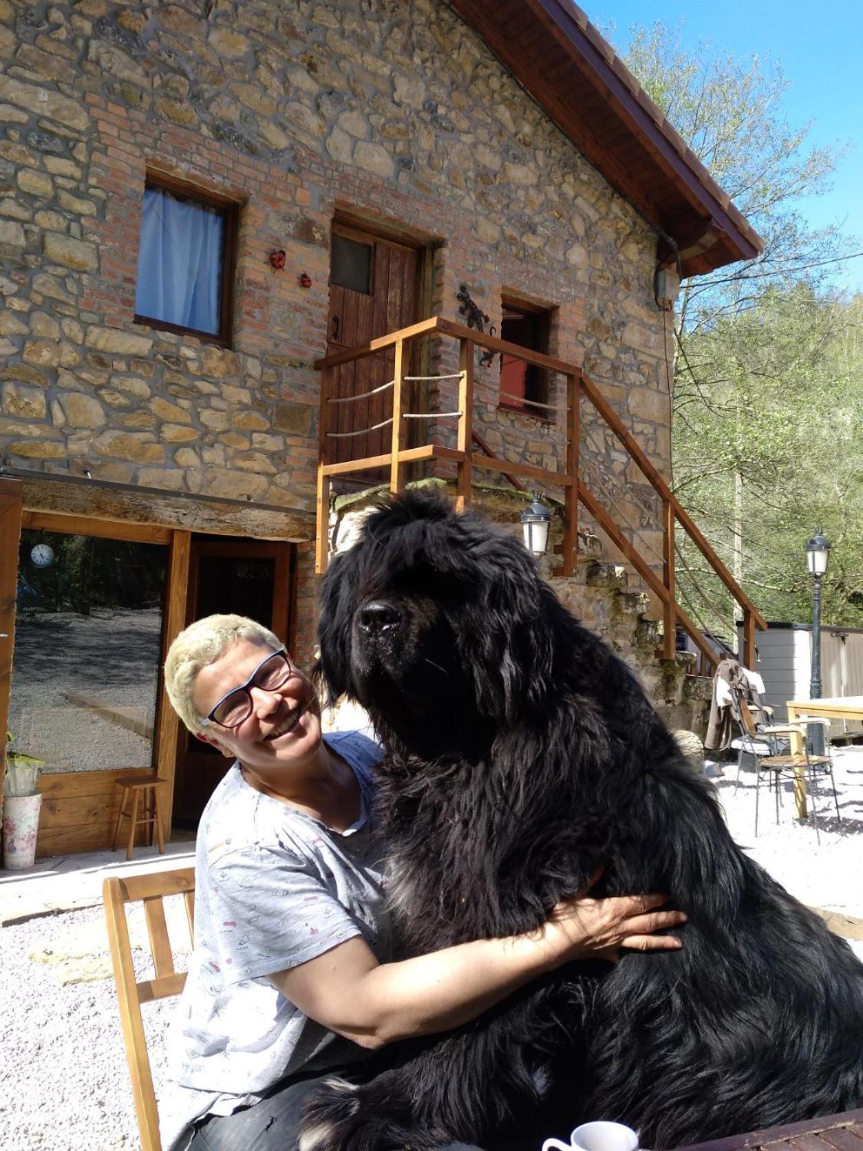 Posada Pet Friendly El Molino De Cantabria Entrambasaguas  Extérieur photo