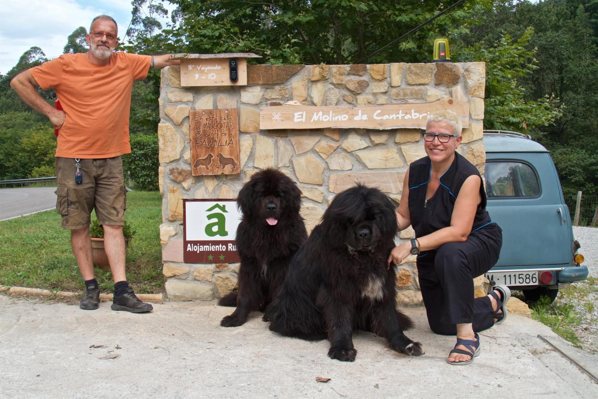 Posada Pet Friendly El Molino De Cantabria Entrambasaguas  Extérieur photo